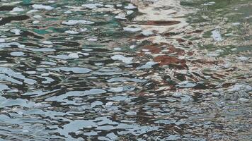 A close up of a building reflected in water video