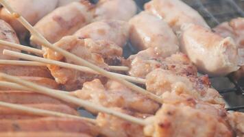 A close up of a grill with skewers of meat video