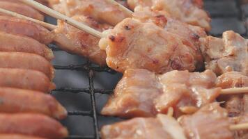 Skewered meat on skewers on a grill video