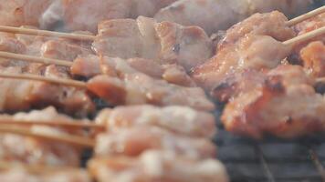 A close up of skewers on a grill video