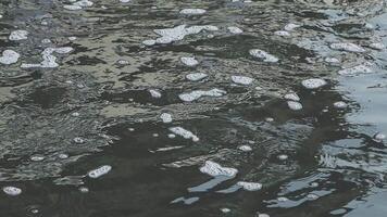 A close up of bubbles floating in water video