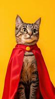 A cat dressed as a superhero on a yellow background photo