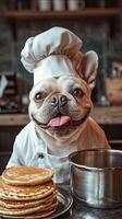 A french bulldog wearing a chef hat and standing next to pancakes photo