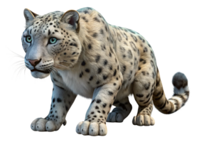 Dynamic crouching snow leopard in natural habitat wildlife photography mountain environment close-up perspective png