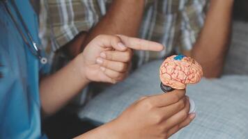 A person holding a toy brain with a doctor pointing at it video