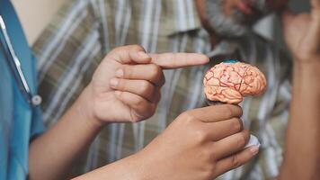 A doctor pointing to a model of a brain video