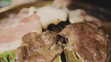 A close up of meat and meat on a plate video