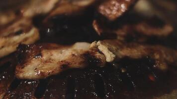 A close up of a grill with meat on it video