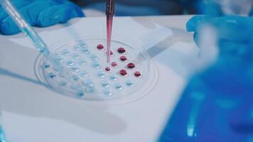 A person in blue gloves holding a tube with red liquid video