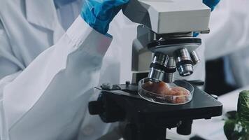 A person in a lab coat is looking at a microscope video