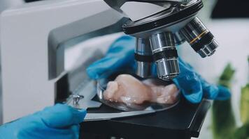 A person in blue gloves is holding a piece of meat under a microscope video