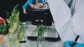 A person in a lab coat is looking at a microscope video