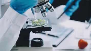 A person in a lab coat is looking at a microscope video