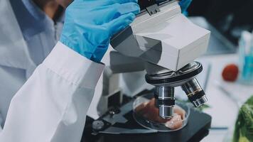 A person in a lab coat is looking at a microscope video