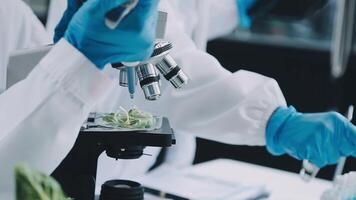 A person in a lab coat is holding a microscope video
