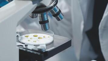 A person in a lab coat is looking at a microscope video