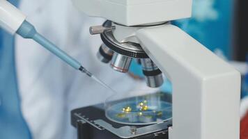 A microscope is being used to look at something video