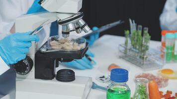 A microscope is being used to look at food video