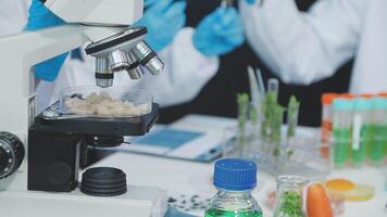 A microscope is being used to look at food video