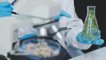 A person in a lab coat holding a glass with a plant in it video