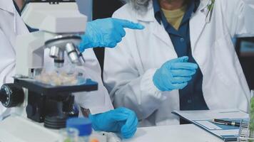 Two people in lab coats and gloves looking at a microscope video