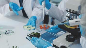 Scientists in lab coats and gloves working with food video