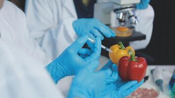 Scientists in lab coats holding peppers and tomatoes video