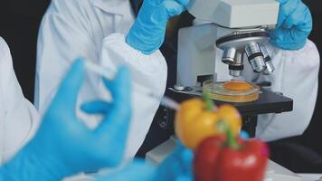 Scientists in lab coats are using a microscope to examine vegetables video