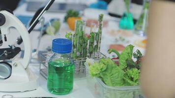A microscope is used to look at food in a laboratory video