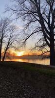 Sunset on the lake with trees and water video