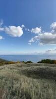 A view of the ocean from a hillside video