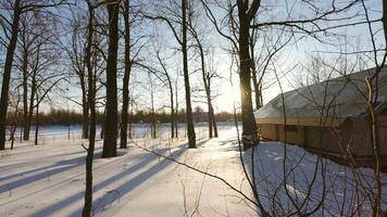 A snow covered area with trees and a hut video