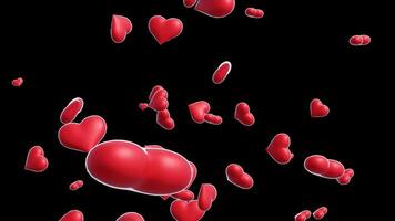 Loop Animation of Red Hearts Falling on a Transparent Background video