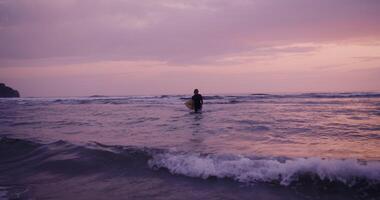 A man in a diving suit, with a surfboard in his hands, comes out of the sea in the rays of the setting sun video