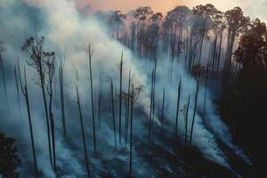 A dramatic scene of a forest fire in the morning, with thick smoke rising into the sky and firewood in the foreground. The intense flames and smoky atmosphere create a powerful and urgent image of wil photo