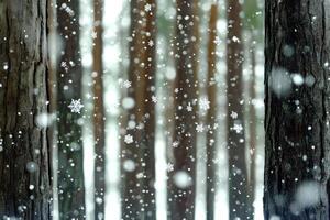 A serene scene of snowfall in the forest, with snowflakes gently falling among the trees, creating a peaceful and magical winter atmosphere photo