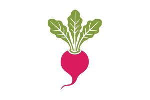 A red beet on a white background vector