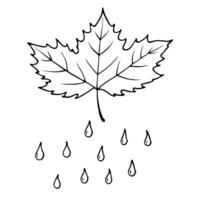 Falling Autumn Leaf and Raindrop with Autumn Shower Text concept as An autumn leaf and raindrop floating as if falling with Autumn Shower text subtly included at the bottom The el Cleans Set 2 vector