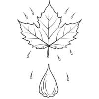 Falling Autumn Leaf and Raindrop with Autumn Shower Text concept as An autumn leaf and raindrop floating as if falling with Autumn Shower text subtly included at the bottom The el Cleans vector