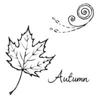 Falling Leaf and Wind Swirl with Autumn Breeze Text concept as A falling leaf and wind swirl floating together with Autumn Breeze text subtly included at the bottom The elements a Cleans vector