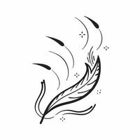 Feather and Wind Symbol with Gentle Breeze Text concept as A delicate feather and wind symbol floating together with Gentle Breeze text at the bottom The elements are isolated on Cleans Set 3 vector
