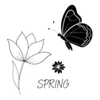 Flat Floating Butterfly and Flower Petal with Spring Awakening Text concept as A butterfly and flower petal floating together in mid air with Spring Awakening text at the bottom T Cleans vector