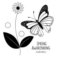 Flat Floating Butterfly and Flower Petal with Spring Awakening Text concept as A butterfly and flower petal floating together in mid air with Spring Awakening text at the bottom T Cleans Set 2 vector