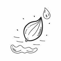 Flat Floating Leaf and Dew Drop with Morning Mist Text concept as A single leaf and dew drop appearing to float in mid air with Morning Mist text subtly included at the bottom The Cleans Set 3 vector