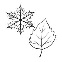 Flat Floating Leaf and Snowflake with Changing Seasons Text concept as A leaf and snowflake floating together in mid air with Changing Seasons text subtly included at the bottom T Cleans Set 2 vector