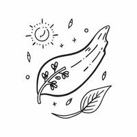 Flat Floating Leaf and Snowflake with Changing Seasons Text concept as A leaf and snowflake floating together in mid air with Changing Seasons text subtly included at the bottom T Cleans Set 3 vector