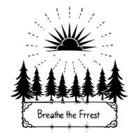 Flat Forest Canopy and Sun Rays Border Frame with Copy Space concept as A border frame with a forest canopy and sun rays streaming through offering generous copy space in the cente Cleans Set 2 vector