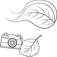 Floating Autumn Leaf with Abstract Wind Gusts and Copy Space concept as An autumn leaf floats and swirls in mid air with abstract wind gusts creating a dynamic nature timelapse Th Cleans vector