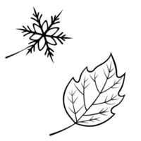 Floating Leaf and Snowflake with Changing Seasons Text concept as A leaf and snowflake floating together in mid air with Changing Seasons text subtly included at the bottom The el Cleans Set 2 vector
