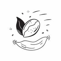 Floating Seed and Wind Symbol with Natures Flight Text concept as A seed and wind symbol floating together in mid air with Natures Flight text subtly included at the bottom The el Cleans Set 3 vector